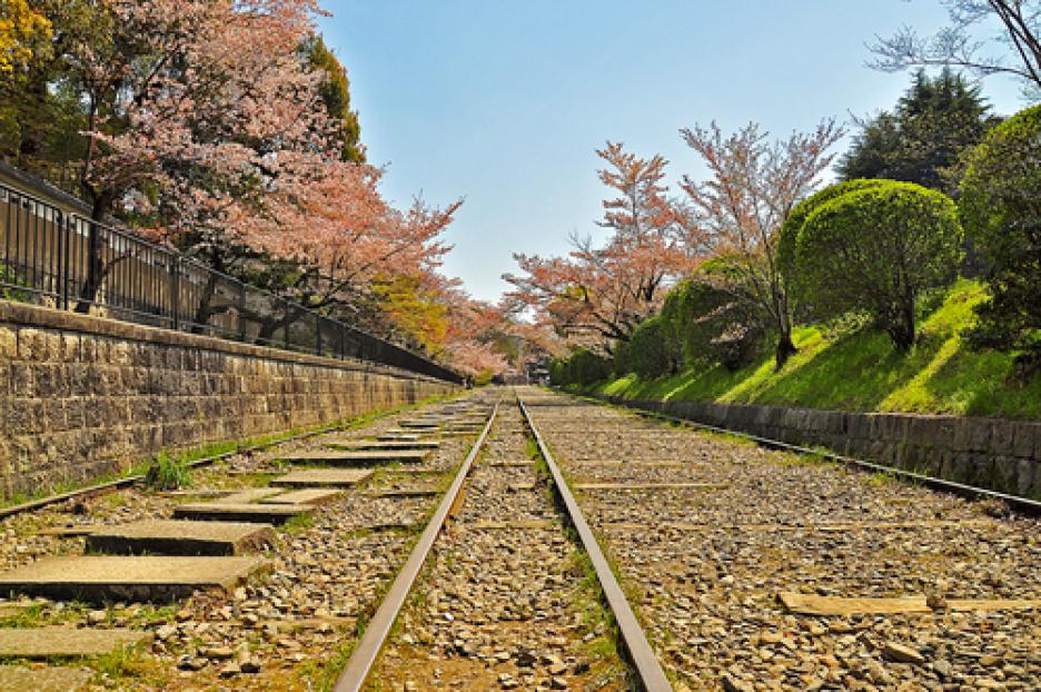 жедневните физически упражнения повишават издръжливостта