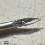 Миниатюрен чип може да се инжектира в тялото със спринцовка