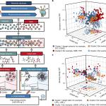 Пробив в технологията на литиевите батерии може да промени бъдещето на електромобилите