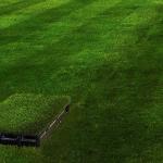 Тези батерии се зареждат от почвата