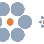 Заблуждават ли се животните от оптичните илюзии? Какво могат да ни научат рибите и птиците за възприятието