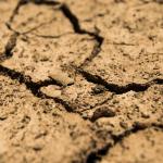 Суша в почвите: риск за есенниците у нас