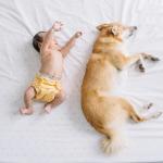 Когато заспиването е трудно, а сънят неспокоен