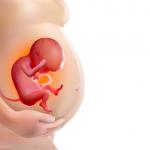 8 любопитни факта за бебето в утробата