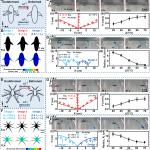 Нова техника за производство на покрития позволява на роботите да ходят по вода