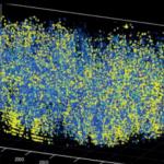 За първи път учени наблюдават 1 млн. неврона в мозъка на мишка едновременно