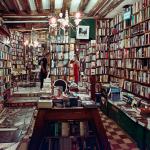 Бърза литература: как BookTok и издателската индустрия променят екологичния отпечатък на книгите?