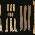 Флейти на близо 12 000 години, изработени от кости, звучат досущ като хищни птици