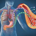 Инсулинова резистентност – складиране на мазнини около органите и подкожни мазнини