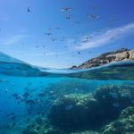 Над една трета от влажните зони в Средиземноморието са застрашени от покачващото се морско равнище