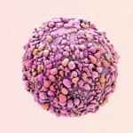 Ново антитяло може да бъде използвано в битка с рака на гърдата