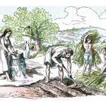 Първите земеделци в Скандинавието са ликвидирали ловците събирачи преди 5900 години