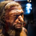 Повечето днешни мъже в Европа са потомци на само три семейства от бронзовата епоха