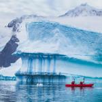 Морски биолог изследва едри бозайници на Антарктида за наличието на живак