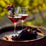 Учени: Пийте червено вино, за да държите рака на гърдата настрана