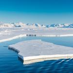 ДНК от октоподи дава информация за топенето на антарктическия лед преди 120 хил. години 