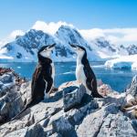 Антарктида също е застрашена от микропластмаса