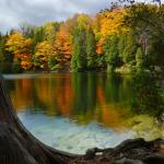 Антропоценът е започнал през 50-те години