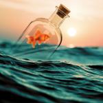 Когато имате чувството, че тъпчете на едно място