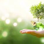 Kачеството на живот и показателите за благополучие на фона на изменението на климата