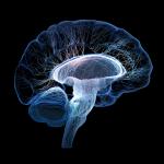 Нова терапия унищожава смъртоносен мозъчен тумор за няколко дни