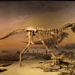 Две бебета динозаври, открити във вкаменелост на тиранозавър, хвърлят светлина върху начина на хранене на древните хищници