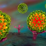 В Естония са открити две нови мутации на коронавируса SARS-CoV-2