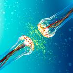 Създадоха изкуствен синапс с помощта на вода и соли