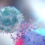 Изследване показва как имунните клетки могат да бъдат обучени за битка с инфекциите