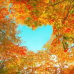 До около 1500 г. есента е била наричана жътва: 10 любопитни факта за есента