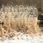 Мръсната вода може да направи чистия водород по-достъпен, сочи изследване на Принстън