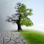 Междуправителствената експертна група на ООН за климатичните промени публикува своя 