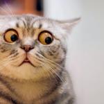 8 неловки ситуации, които всяка двойка преживява