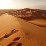 Повишаването на температурите може да предизвика 75% повече дъжд в пустинята Сахара до края на века