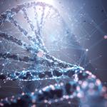 Учени откриха ключов ензим за борба със затлъстяването и диабета