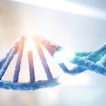 Епигенетичните промени регулират генната експресия, но какво регулира тях?