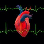 Огромно проучване свързва 99% от сърдечните пристъпи и инсулти с четири рискови фактора