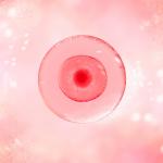 Китайски учени патентоват нов метод за замразяване на яйцеклетки