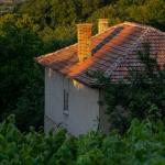 Невидимият гигант: защо обновяването на българските къщи буксува