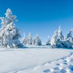 Как се променя зимата в България?
