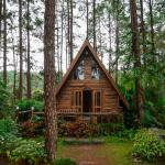 Архитектура от естествени строителни материали: здравословна, комфортна и климатично неутрална жизнена среда