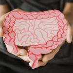 Ритмичните движения на червата може да обяснят синхронизацията в мозъка