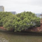 10 места, завоювани обратно от природата 