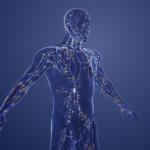 Създадоха полимер, подходящ за печат на изкуствени органи