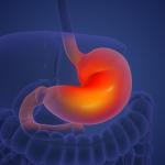 Учени откриха ключови нервни компоненти, които влияят върху растежа на тумори в стомашно-чревния тракт