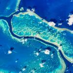 Големият бариерен риф преживява най-мащабното избелване в историята – причината е климатичната криза