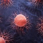 Нарушена връзка между мозъка и черния дроб води до опасна загуба на тегло при рак