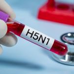 Създадоха модел с изкуствен интелект за прогнозиране на птичи грип в Европа