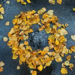 Ноември под лупа: за слабия COP30, тревожните научни сигнали и единствения глобален успех