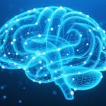 Човешкият мозък е най-сложната структура в познатата ни вселена